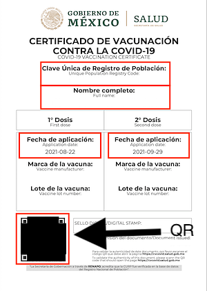 Certificado de vacunación paso 3